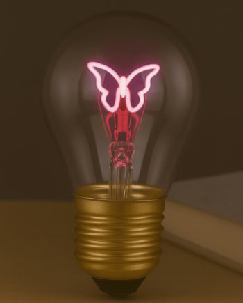 Ampoule LED autonome papillon - Light me up
