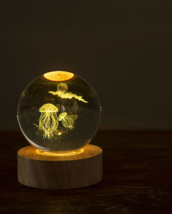 Veilleuse LED 3D fond marin - Light me up